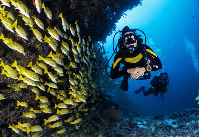 Tarkarli Scuba Diving